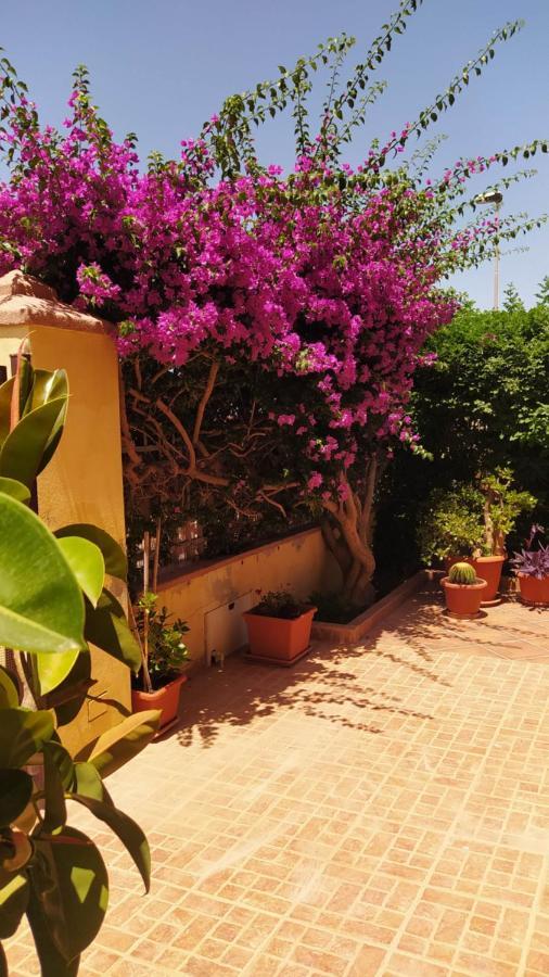 Bouganville Olmedo Ngoại thất bức ảnh